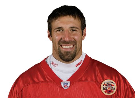 mike vrabel stats