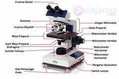 Mikroskop Binokuler