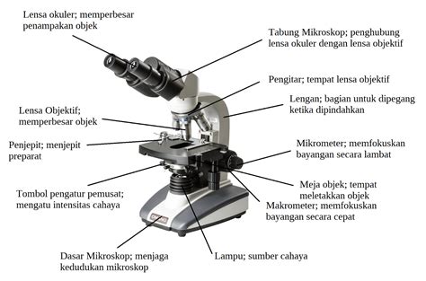 mikroskop cahaya biologi