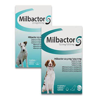 ᐉ 15 Mejores Comprar Milbactor Para Perros 2021