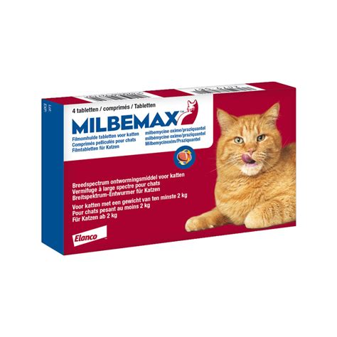 milbemax cat