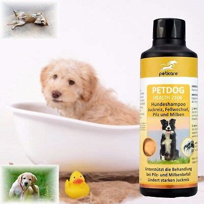 Medicated Shampoo Dog For Mange Mites Scabies Ticks