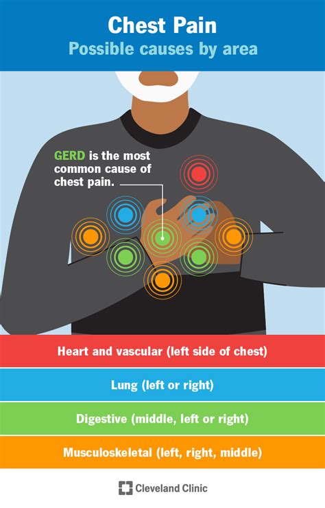 Understanding Mild Chest Pain: Causes and Warning Signs