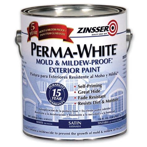 How To Remove Mildew From Exterior Paint Home Logic UK