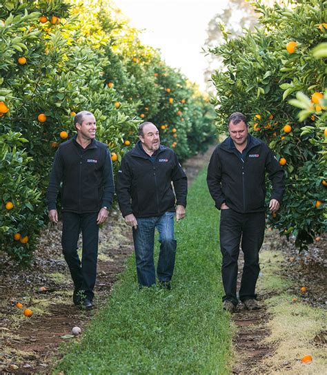 mildura fruit company