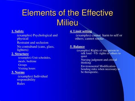 milieu therapy examples