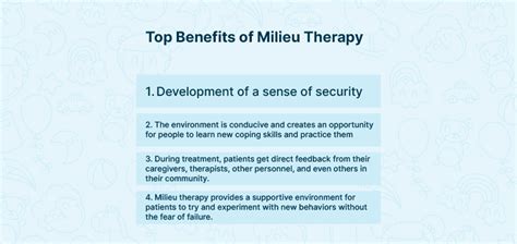 milieu therapy plan