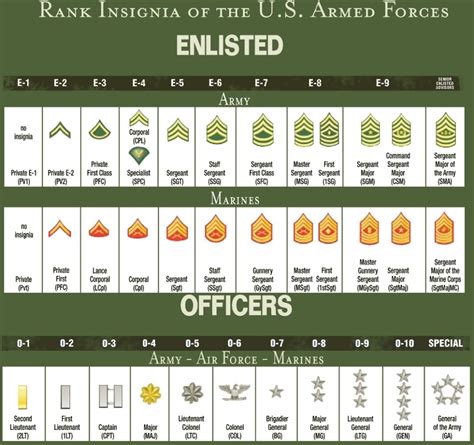 U.S. Military Rank Insignia (Enlisted & Officer) coolguides