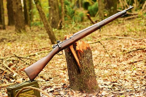 Military Surplus Rifles For Hunting