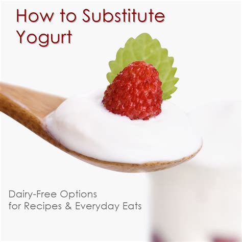 Milk Substitute Yogurt