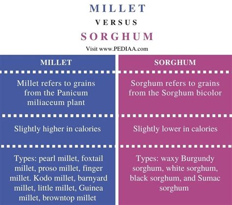 Millet And Sorghum Diff