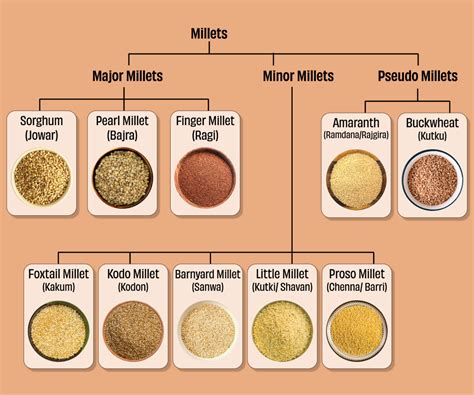 Millet Seed Size