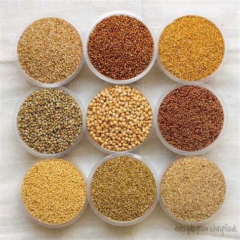 Millet Seed Varieties