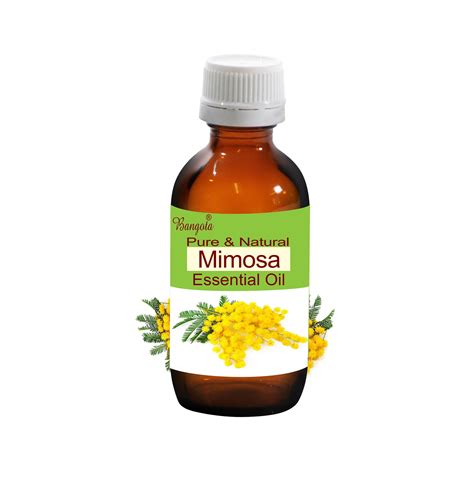 Mimosa Pure & Natural Essential Oil Acacia Decurrens by Etsy