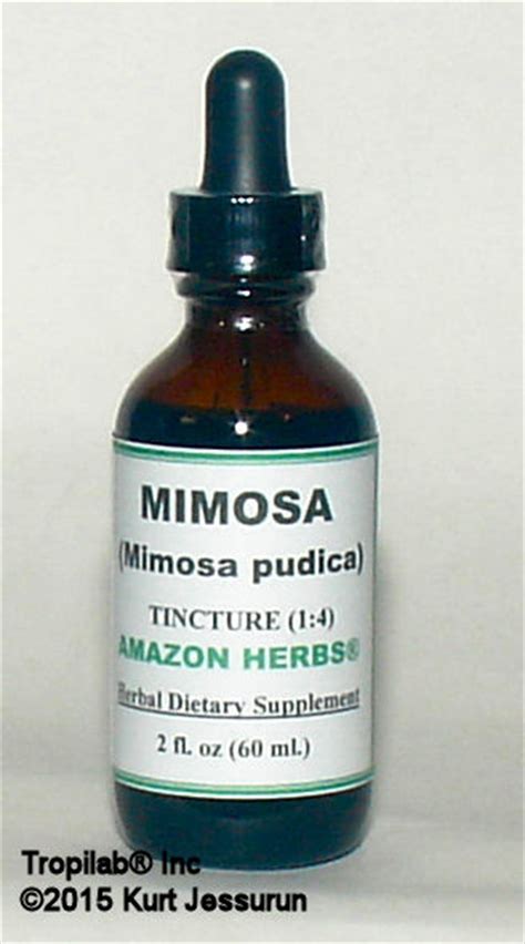 mimosa tincture side effects