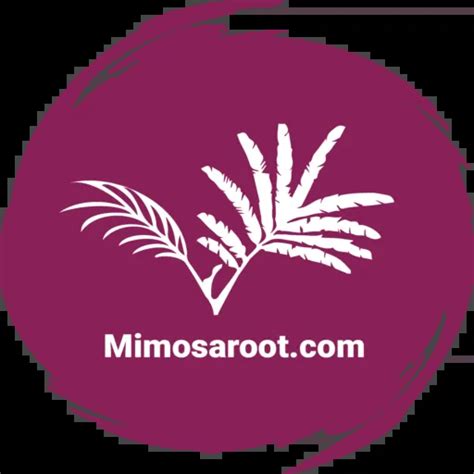 Mimosaroot.com Coupon Code