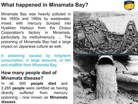 minamata disaster case study