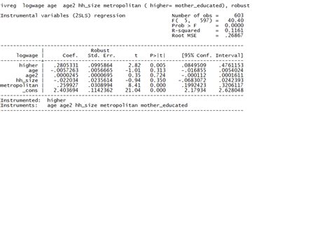 Mincer Model Meaning