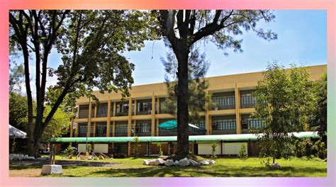 mindanao state university iligan courses