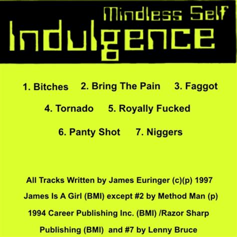 Mindless Self Indulgence Panty Shot [Karaoke] YouTube