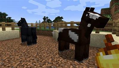 Minecraft How To Name A Horse