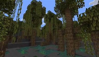 Minecraft Mangrove Forest Seed