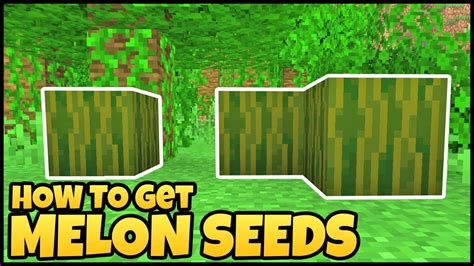 Minecraft Melon Direction