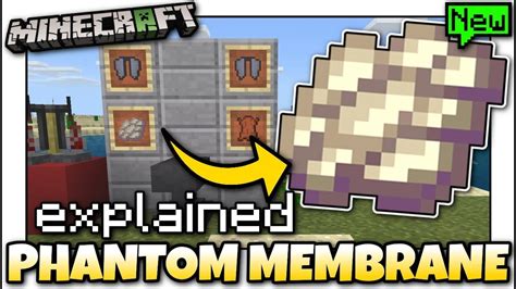 Lets See Minecraft Membrane De Phantom More
