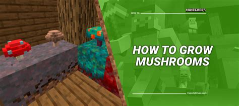 Minecraft Mushroom Growing Requirements