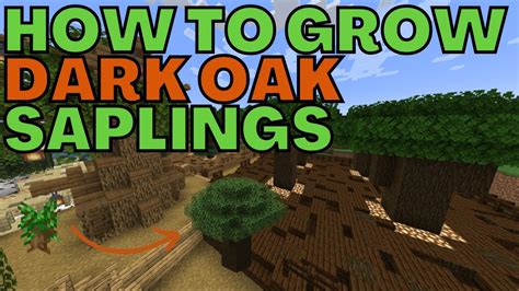 minecraft planting dark oak sapling