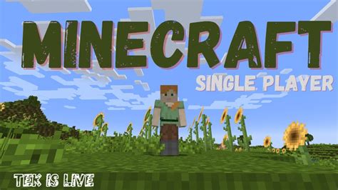 minecraft single player test