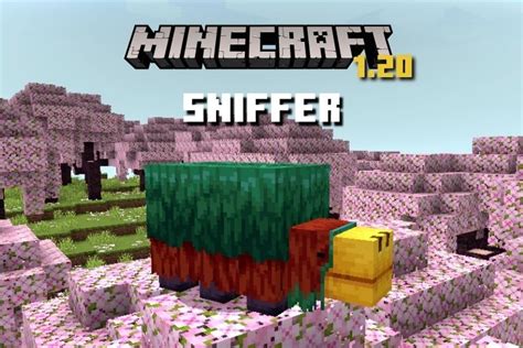 Minecraft Sniffer Features