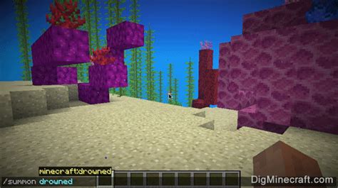 Minecraft where do drowned spawn