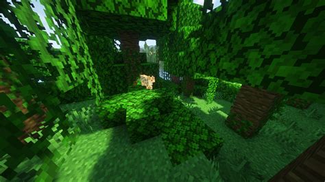 Minecraft where do ocelots spawn