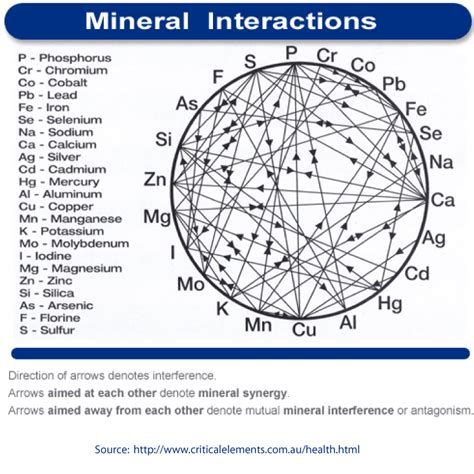 mineral interaction