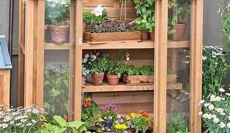 Greenhouse Mini Miniserre d'intérieur en bois de frêne