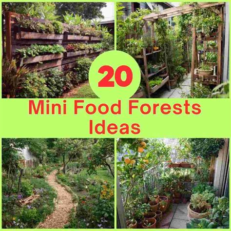 Mini Food Forest