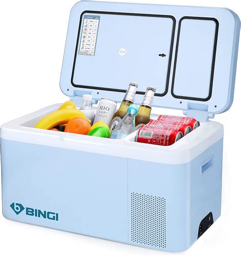 Mini Freezer Fridge Portable