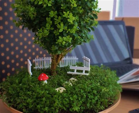 Mini Garden Bonsai Tree
