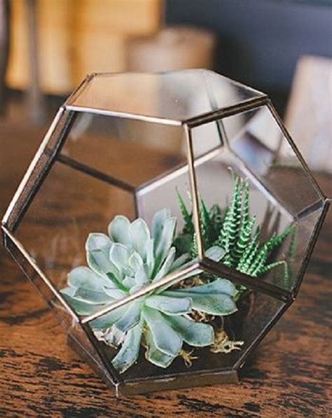 Mini Geometric Terrarium