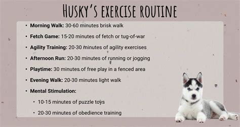 Mini Husky Exercise