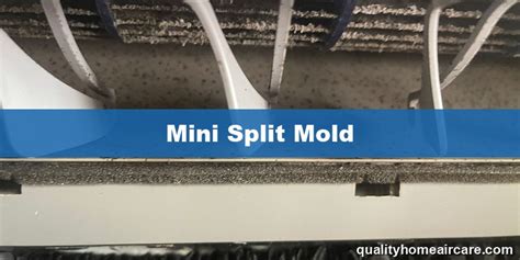 Mini Split Mold Problems