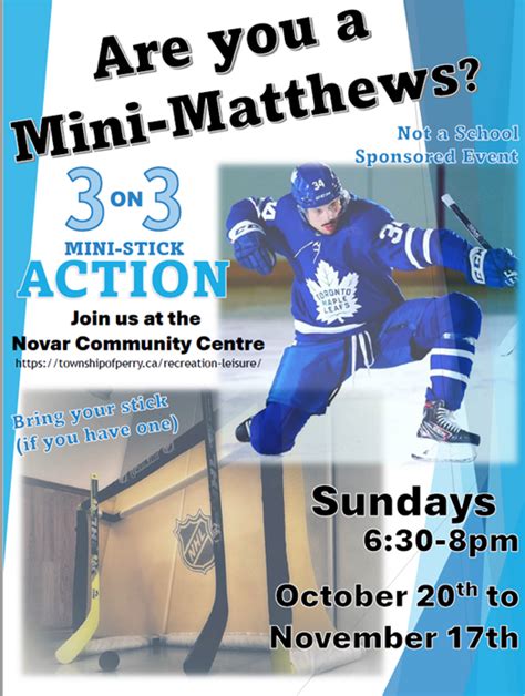 Mini Sticks Hockey Program