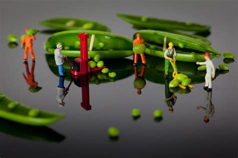 Miniature Figures For Macro Photography
