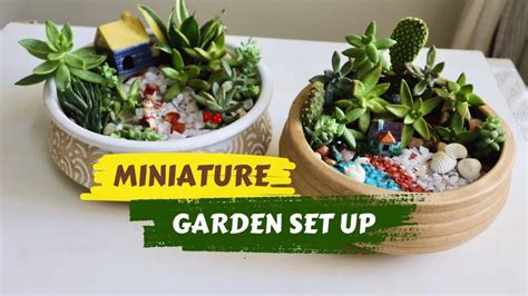 Miniature Garden Set Up