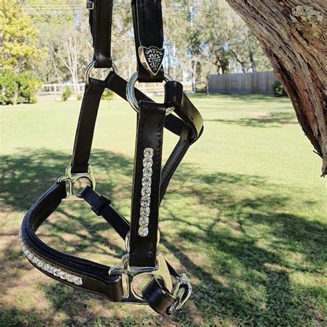 Miniature Horse Performance Halter