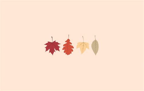 Minimalist Fall Background: Embrace Simplicity And Warmth