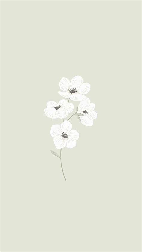 Minimalist Aesthetic Flower Wallpaper