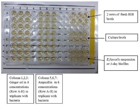minimum inhibitory concentration plate