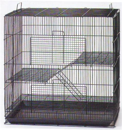 Minimum Rat Cage Size